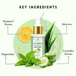 Buy Eartho Essentials Cucumber Mint Hydrating Toner 100 ml - Purplle