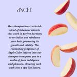 Buy ANCEL Apple Cider Vinegar Foaming Face Wash I 100 ml - Purplle