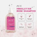 Buy ANCEL Himalayan Rose Shampoo | with Rose Extract, Glycerin & Pro-Vitamin B5 | For Volumizing Hair and Scalp deodorizer I Natural ingredients|Sulphate & Paraben Free | For Men & Women I 300 ml - Purplle