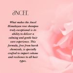 Buy ANCEL Himalayan Rose Shampoo | with Rose Extract, Glycerin & Pro-Vitamin B5 | For Volumizing Hair and Scalp deodorizer I Natural ingredients|Sulphate & Paraben Free | For Men & Women I 300 ml - Purplle
