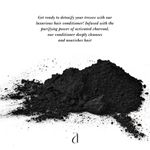 Buy ANCEL Charcoal Conditioner with Activated Charcoal Powder, Almond Oil, Jojoba Oil & Shea Butter | For Deep Cleansing & Volumizing Hair | Natural ingredients| Sulphate & Paraben Free | For Men & Women |300 ml - Purplle