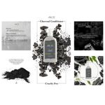 Buy ANCEL Charcoal Conditioner with Activated Charcoal Powder, Almond Oil, Jojoba Oil & Shea Butter | For Deep Cleansing & Volumizing Hair | Natural ingredients| Sulphate & Paraben Free | For Men & Women |300 ml - Purplle
