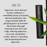 Buy ANCEL Charcoal Conditioner with Activated Charcoal Powder, Almond Oil, Jojoba Oil & Shea Butter | For Deep Cleansing & Volumizing Hair | Natural ingredients| Sulphate & Paraben Free | For Men & Women |300 ml - Purplle