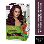 Buy SESA Burgundy Hair Colour For Women and Men Long Lasting for Natural Shiny Smooth Hair with Rosemary, Calendula and Heena, 100% Grey Coverage - Burgundy 118 ml - Purplle