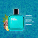 Buy Wild Stone Edge Parfum for Men, Long Lasting Refreshing Every day Wear Fragrance, 30 ml - Purplle