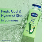 Buy Vaseline Aloe Fresh Body Lotion 24 HR Long Lasting Moisturisation with Aloe Vera extract (600 ml) Pack of 2 - Purplle
