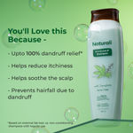 Buy Naturali Anti-Dandruff Shampoo with Superfood Hemp Oil & Sage Extract | Up to 100% DANDRUFF RELIEF | Paraben & Sulphate Free Shampoo | 200 ml - Purplle
