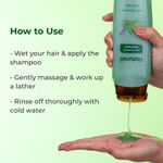 Buy Naturali Anti-Dandruff Shampoo with Superfood Hemp Oil & Sage Extract | Up to 100% DANDRUFF RELIEF | Paraben & Sulphate Free Shampoo | 200 ml - Purplle