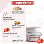 Buy TNW The Natural Wash Tomato Clay Mask for Glowing & Healthy Skin | With Niacinamide & Hyaluronic Acid | Natural & Chemical-Free Clay Mask - Purplle