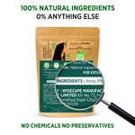 Buy Alps Goodness Powder - Amla (50 gm) - Purplle