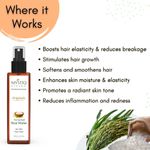 Buy Mystiq Living Rice Water and Rosemary Water for Hair Growth Rice Water Spray For Hair & Face|Hair Spray for Women - Pack of 2(200 ml) - Purplle