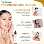 Buy Mystiq Living Fermented Rice Water (100 ml) Rice Water Spray For Hair & Face | Korean Glass Skin | For Brighter Skin | Glowy Skin | Hair Spray for Women - Purplle