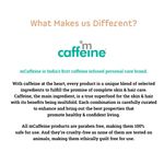 Buy mCaffeine Espresso Coffee Skin Care Routine for Deep Exfoliation & Oil Free Hydration | Face Wash, Face Scrub, Face Mask, Moisturizer | All Skin Types | Cruelty Free & Vegan 300 gm - Purplle