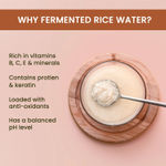 Buy Alps Goodness X DERMDOC Korean Glass Skincare Duo with Fermented Rice Water Spray & 2% Kojic acid glow fusion formula night cream - Combo of 2 - Purplle