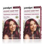 Buy Paradyes Berry Plum Glossy Hair Tint Semi-Permanent Creme Color For Natural Black Hair (Pack of 2) - Purplle