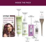 Buy Paradyes Berry Plum Glossy Hair Tint Semi-Permanent Creme Color For Natural Black Hair (Pack of 2) - Purplle