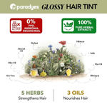 Buy Paradyes Berry Plum Glossy Hair Tint Semi-Permanent Creme Color For Natural Black Hair (Pack of 2) - Purplle