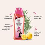 Buy AYUR HERBALS Rosemery Shampoo 1000 ml I For Dry & Dull Hair I Pack fo 1, Unisex - Purplle