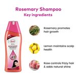 Buy AYUR HERBALS Rosemery Shampoo 1000 ml I For Dry & Dull Hair I Pack fo 1, Unisex - Purplle