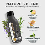 Buy Orgatre Dandruff Free Shampoo (250ml) - Purplle