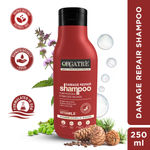 Buy Orgatre Damage Repair Shampoo (250ml) - Purplle