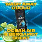 Buy Axe Alaska 3 In 1 Body, Face & Hair Wash for Men, Long-Lasting Fragrance, 250ml - Purplle