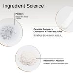 Buy The Formularx Barrier Plus Peptide Ceramide Moisturizer for Dry, Normal, & Sensitive Skin (50 gm) - Purplle