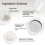 Buy The Formularx Barrier Relief Ceramide Lightweight Moisturizer for Oily, Acne prone, Sensitive Skin (50 gm) - Purplle