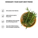 Buy ThriveCo Rosemary Water Hair Spray | With 100% Natural Rosemary Extract, Rice Water & Hyaluronic Acid | For Hair Growth, Hair Fall Control, Hair Conditioning & Hair Shine | Men & Women, 100ml - Purplle