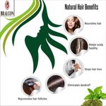 Buy BRALCON Organic Tulsi Leaf Powder-100 gm | 100% Natural Tulsi Leaf Powder |Ocimum Sanctum|For Health, Skin & Hair |Basil Leaves powder | Detoxifying, Cleansing Agent - Purplle