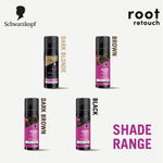 Buy Schwarzkopf Root Retouch Instant Grey Hair Concealer Spray Sweat And Rain Resistant - Black, 120 ml - Purplle