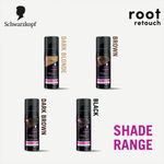 Buy Schwarzkopf Root Retouch Instant Grey Hair Concealer Spray Sweat And Rain Resistant - Brown, 120 ml - Purplle