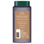 Buy Biotique Walnut Volume & Bounce Shampoo 340 ML - Purplle