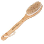 Buy Careberry Dry Brushing & Massaging Body Brush - Eco-Friendly Exfoliating Body Scrubber with Long Handle for Cellulite Reduction, Lymphatic Drainage, and Skin Health - Wet & Dry Use 160 gm - Purplle