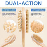 Buy Careberry Dry Brushing & Massaging Body Brush - Eco-Friendly Exfoliating Body Scrubber with Long Handle for Cellulite Reduction, Lymphatic Drainage, and Skin Health - Wet & Dry Use 160 gm - Purplle