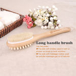 Buy Careberry Dry Brushing & Massaging Body Brush - Eco-Friendly Exfoliating Body Scrubber with Long Handle for Cellulite Reduction, Lymphatic Drainage, and Skin Health - Wet & Dry Use 160 gm - Purplle