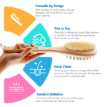 Buy Careberry Dry Brushing & Massaging Body Brush - Eco-Friendly Exfoliating Body Scrubber with Long Handle for Cellulite Reduction, Lymphatic Drainage, and Skin Health - Wet & Dry Use 160 gm - Purplle