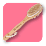 Buy Careberry Dry Brushing & Massaging Body Brush - Eco-Friendly Exfoliating Body Scrubber with Long Handle for Cellulite Reduction, Lymphatic Drainage, and Skin Health - Wet & Dry Use 160 gm - Purplle