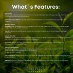 Buy Vandyke Tea Tree & Blueberry with 2% Salicylic Acid Face Serum (30 ml) - Purplle