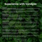 Buy Vandyke Tea Tree & Blueberry with 2% Salicylic Acid Face Serum (30 ml) - Purplle