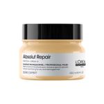 Buy L'Oreal Professionnel Absolut Repair Mask For Dry and Damaged Hair 250ml | With Wheat Protein - Purplle