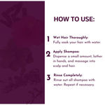 Buy KAIVA Bhringraj and Shikakayi Shampoo/Cleanser | Reduces Dandruff | Nourishes Scalp | Strengthens Hair Strands | Paraben & Sulfate-Free - 100 ml - Purplle