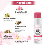 Buy TNW – The Natural Wash Pomegranate Tinted Lip Balm & Rose Tinted Lip Balm 6 gm of each - Purplle
