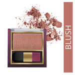 Buy Lakme 9 to 5 Pure Rouge Blusher Ginger Surprise (6 g) - Purplle