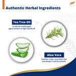 Buy Himalaya Anti-Dandruff Tea Tree Shampoo, Removes up to 100% Dandruff, Soothes Scalp & Nourishes Hair, with Tea Tree oil and Aloe Vera, for men and women, 180 ml - Purplle
