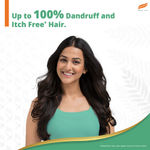 Buy Himalaya Anti Dandruff Cooling mint Shampoo 180 ml - Purplle