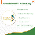 Buy Himalaya Gentle Daily Care Natural Protein Shampoo, Gently cleanses & strengthens, With Chickpea, Licorice & Amla, For Women & Men, 340 ml - Purplle