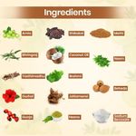 Buy TNW The Natural Wash Hair Mask with Brahmi, Bhringraj, Amla & Shikakai 200 gm - Purplle