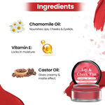 Buy TNW The Natural Wash Tunnel of Love | With Chamomile Oil | For lips, cheeks, & eyelids | For a natural makeup look - Purplle