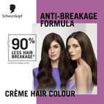 Buy Schwarzkopf Colour Specialist At Home Permanent Hair Colour - 5.0 Light Natural Brown, 165 ml - Purplle